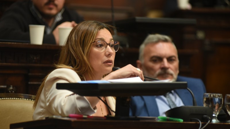 El peronismo estalló contra la reforma laboral y califico el proyecto como un "retroceso"